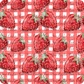STRAWBERRY KIDS COORDINATE